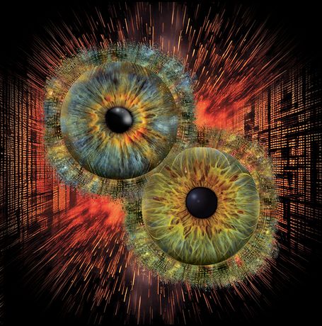 2  Iris Matrix code