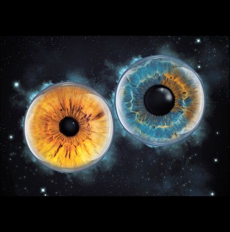 2 Augen Iris Foto