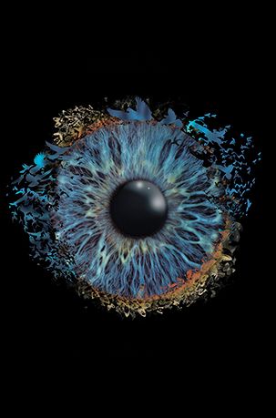 Iris Auge Fotografie