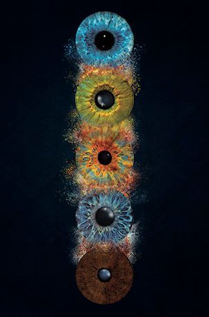 5 Augen Iris Foto