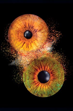 2 Augen Iris Foto
