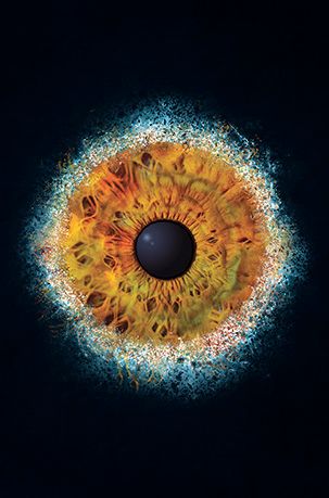 Iris Auge Fotografie