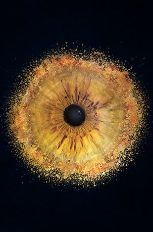 Iris Auge Fotografie
