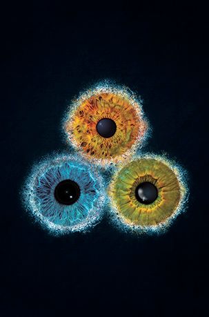 3 Iris Foto