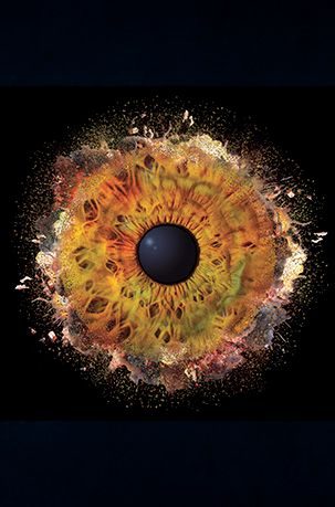 Iris Auge Fotografie