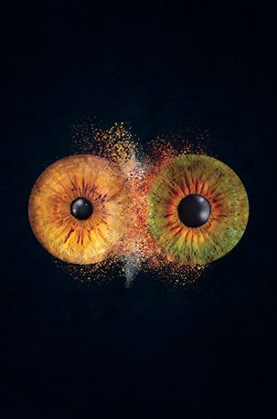 2 Augen Iris Foto
