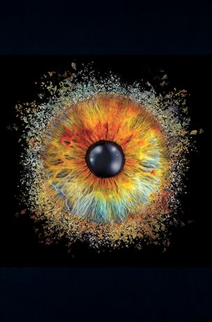 Iris Auge Fotografie