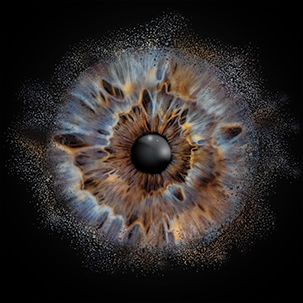 Iris Foto, Auge als Foto