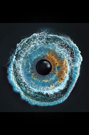 Iris Auge Fotografie