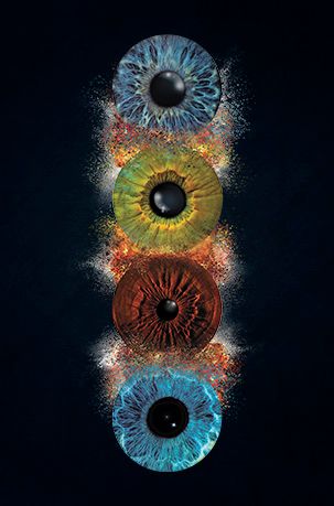 4 Augen Iris Foto